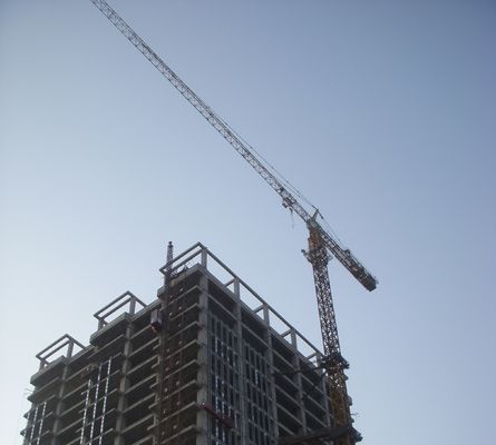 Bom preço Guindaste de torre de auto-escalada elétrica de 50 Hz com capacidade de elevação de 12 toneladas Tipo de painel on-line